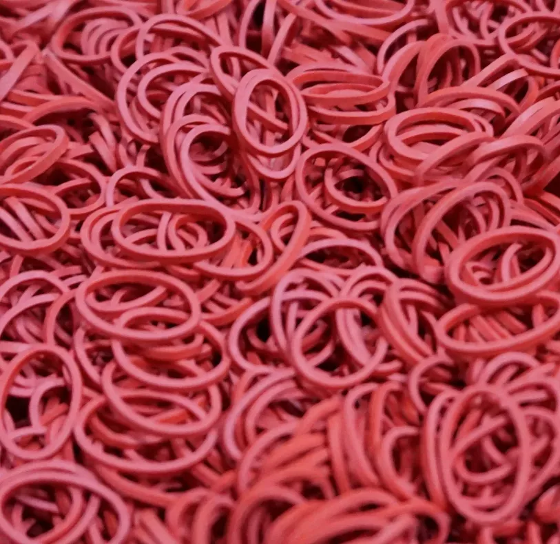 500 Count Red Rubber Elastics