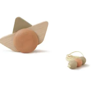 BABAI PULL-GO SHIP - TERRA