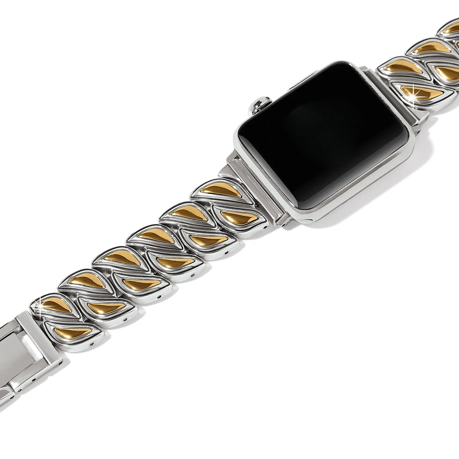 Brighton Apple Watch Bands