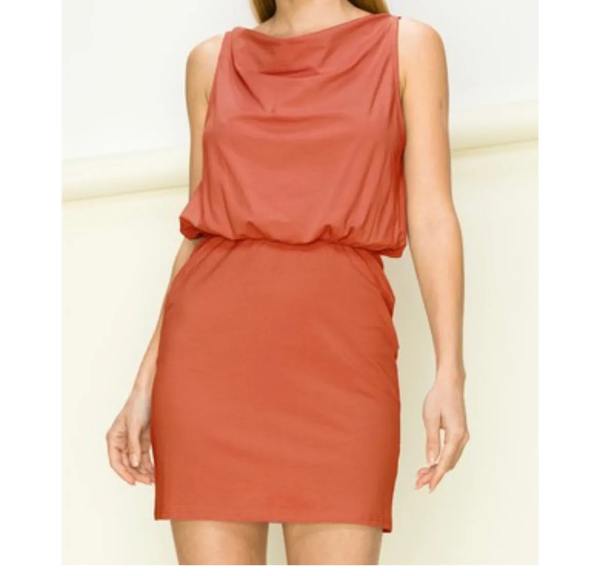 Cinnamon Knit Dress