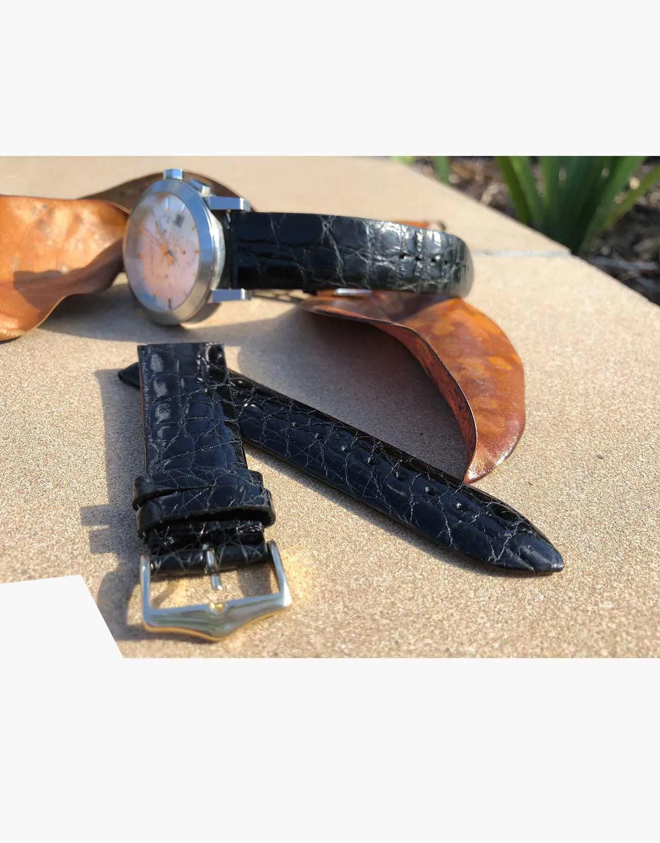 Croc Black Shine Exotic Skin Watch Bands