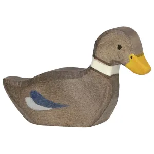 Duck swimming