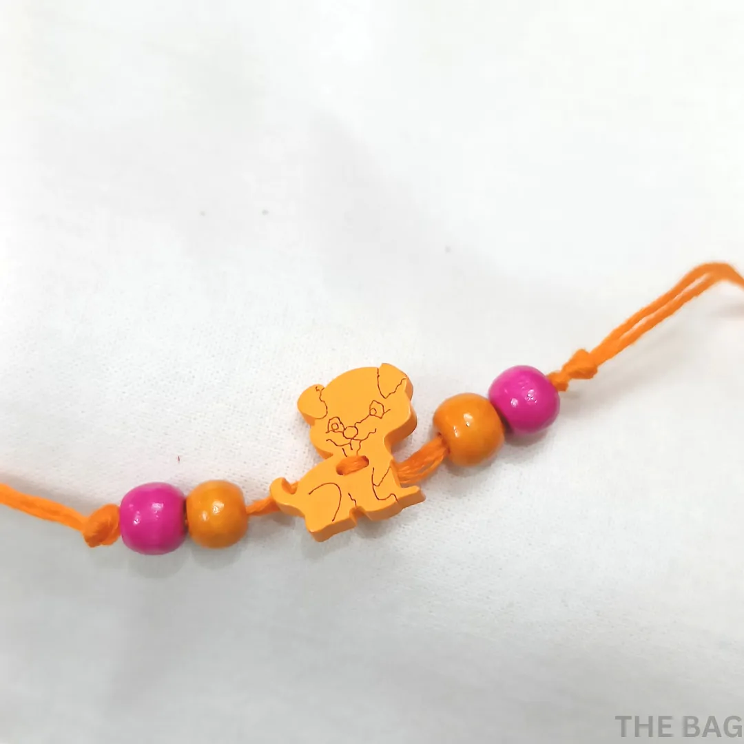 Eco-friendly Rakhi
