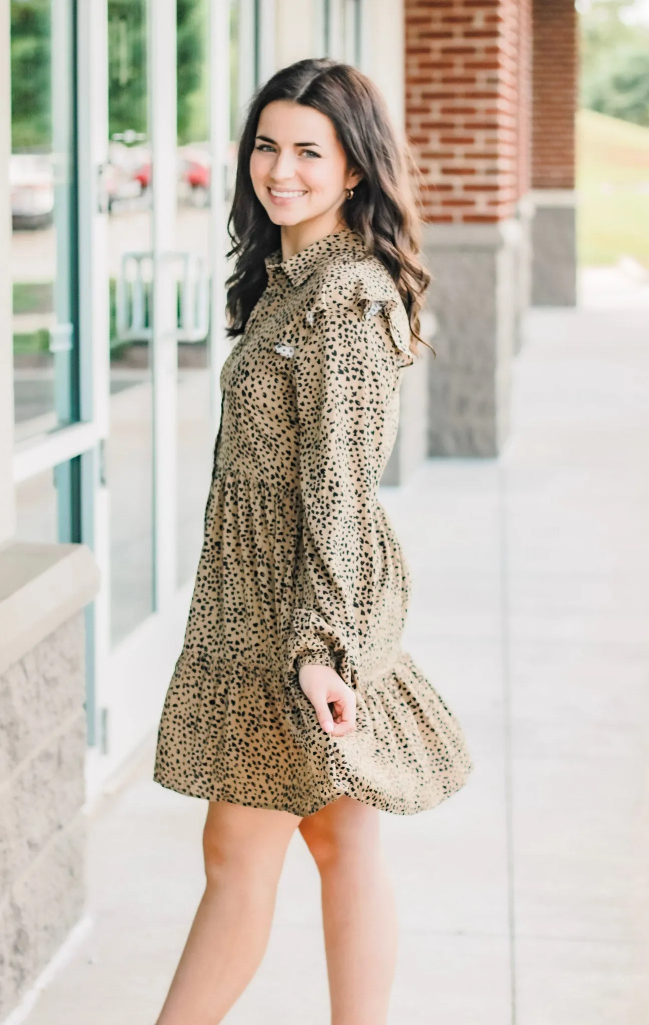 I'm in Love Animal Print Dress in Cocoa