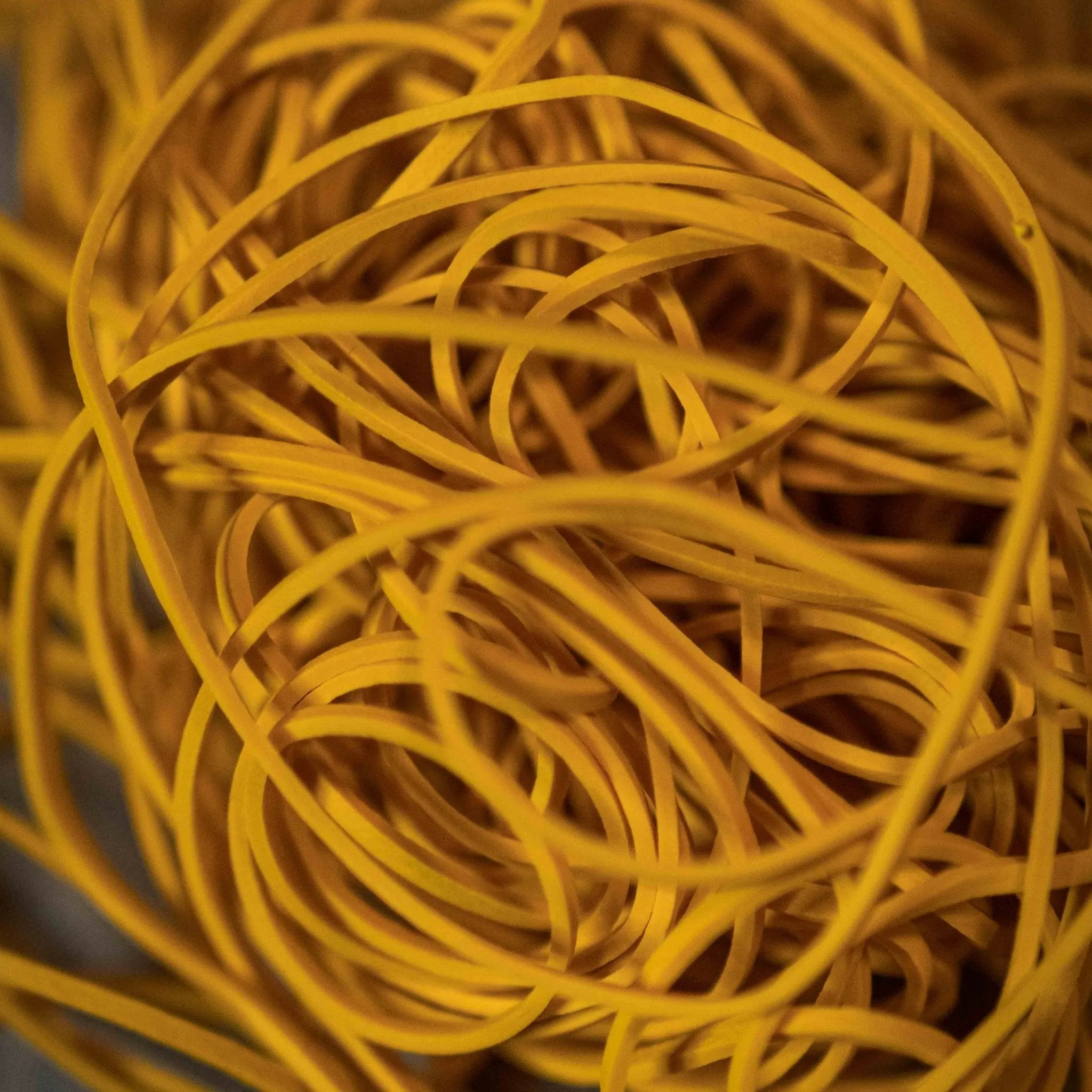 Joe Rindfleisch's Rubber Bands by Joe Rindfleisch
