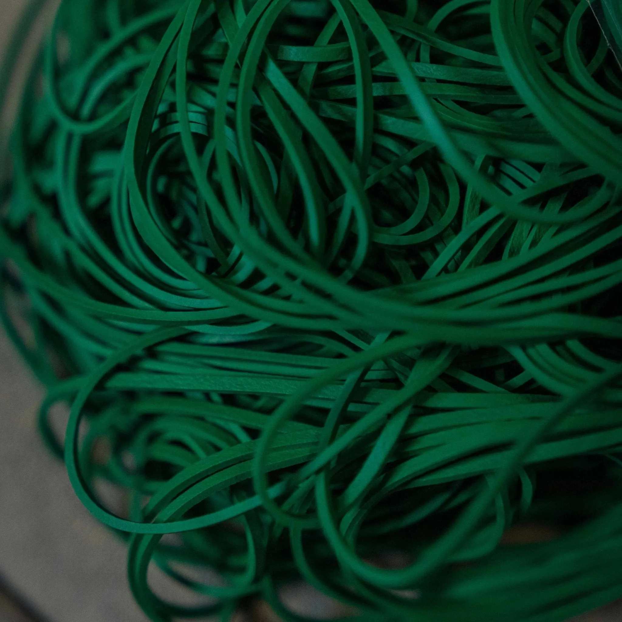 Joe Rindfleisch's Rubber Bands by Joe Rindfleisch