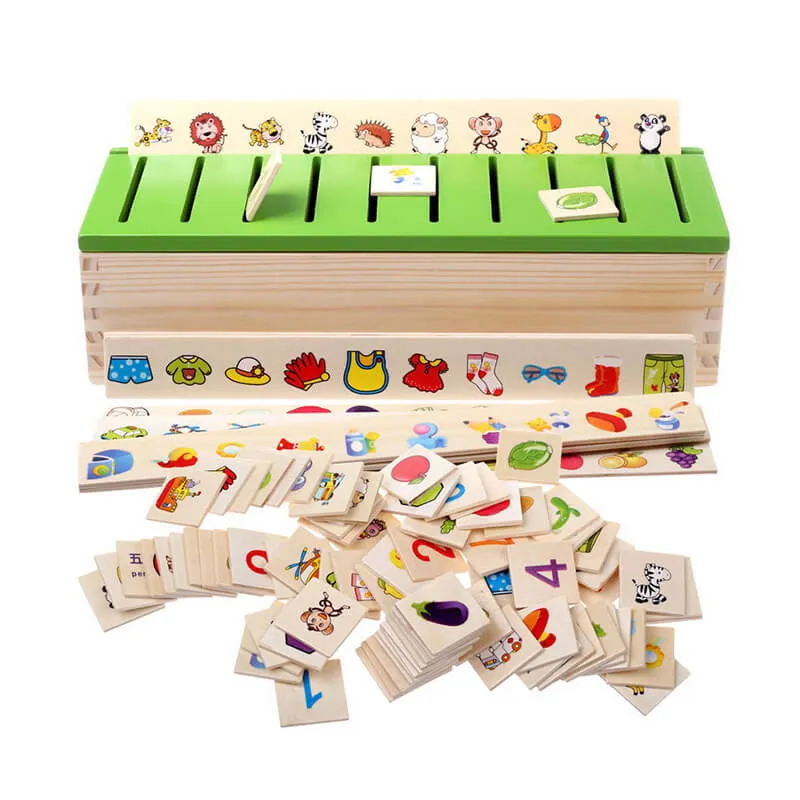 Knowledge Classification Box – Early Learning Wooden Toy