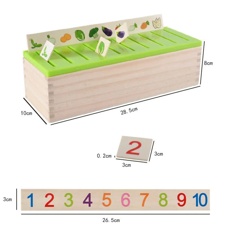 Knowledge Classification Box – Early Learning Wooden Toy