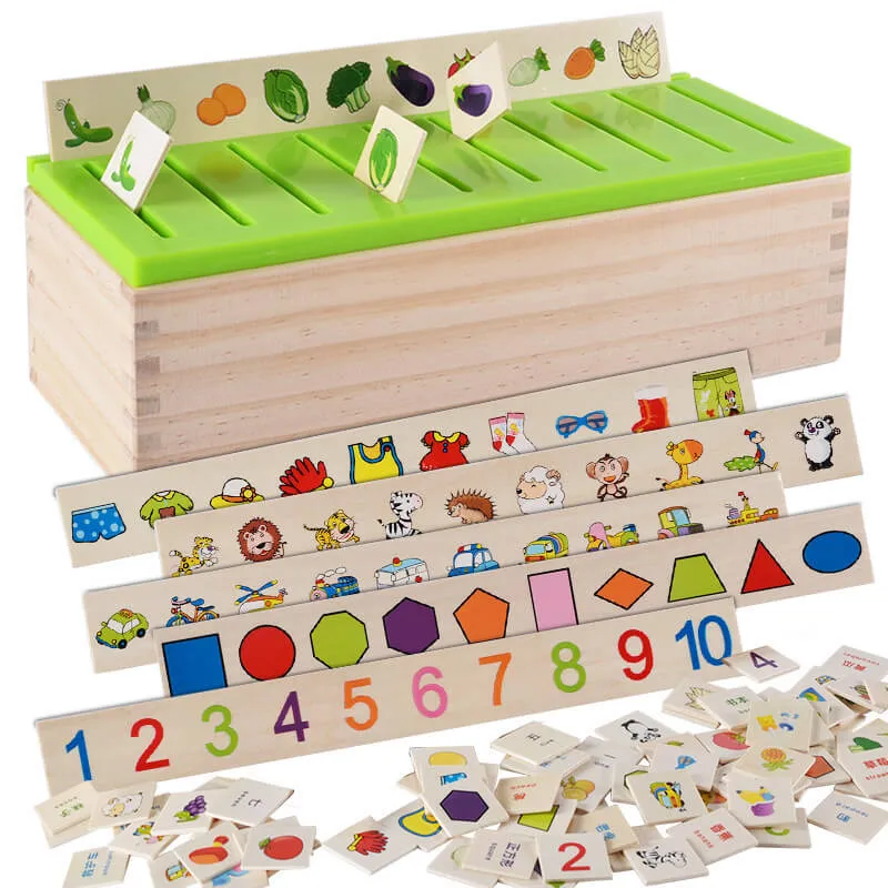 Knowledge Classification Box – Early Learning Wooden Toy