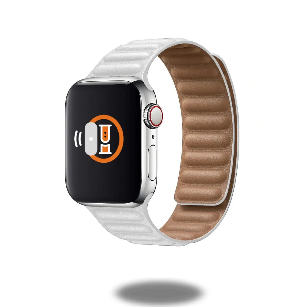 Leather Link Band | Two-Tone