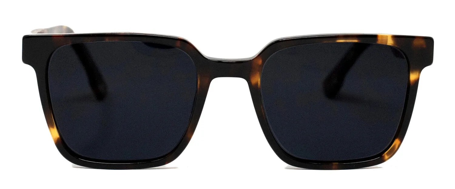 Maverick / Acetate X Wood Series / Polarized Sunglasses / Tortoise Shell