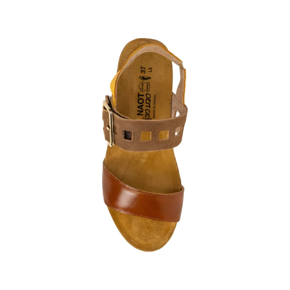 NAOT DYNASTY MAPLE MULTI