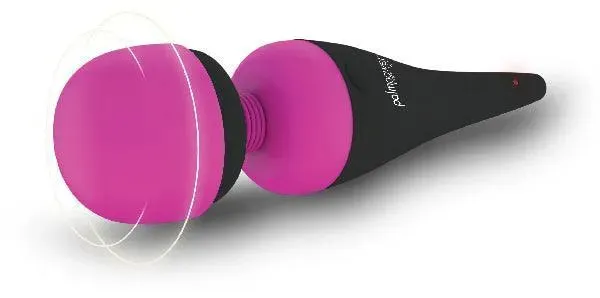 PalmPower Massage Wand Recharge Waterproof