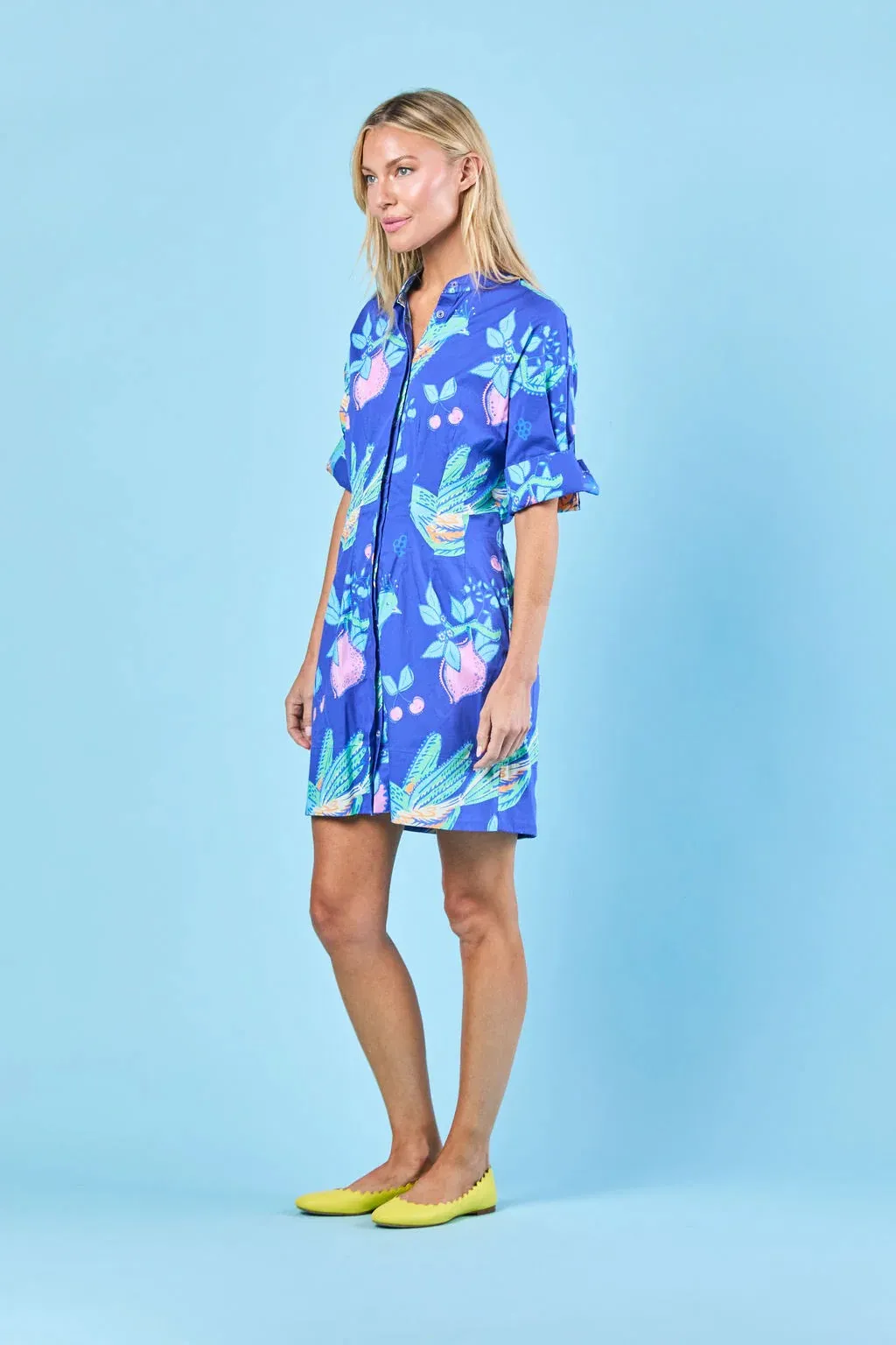 Parker Songbird Dress