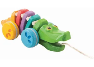 Rainbow Alligator