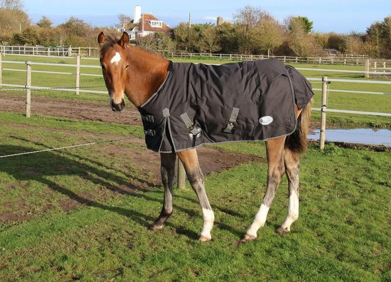 Rhinegold Foal Konig Outdoor Rug