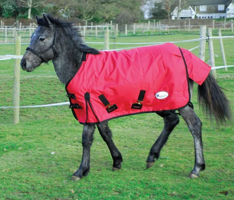 Rhinegold Foal Konig Outdoor Rug