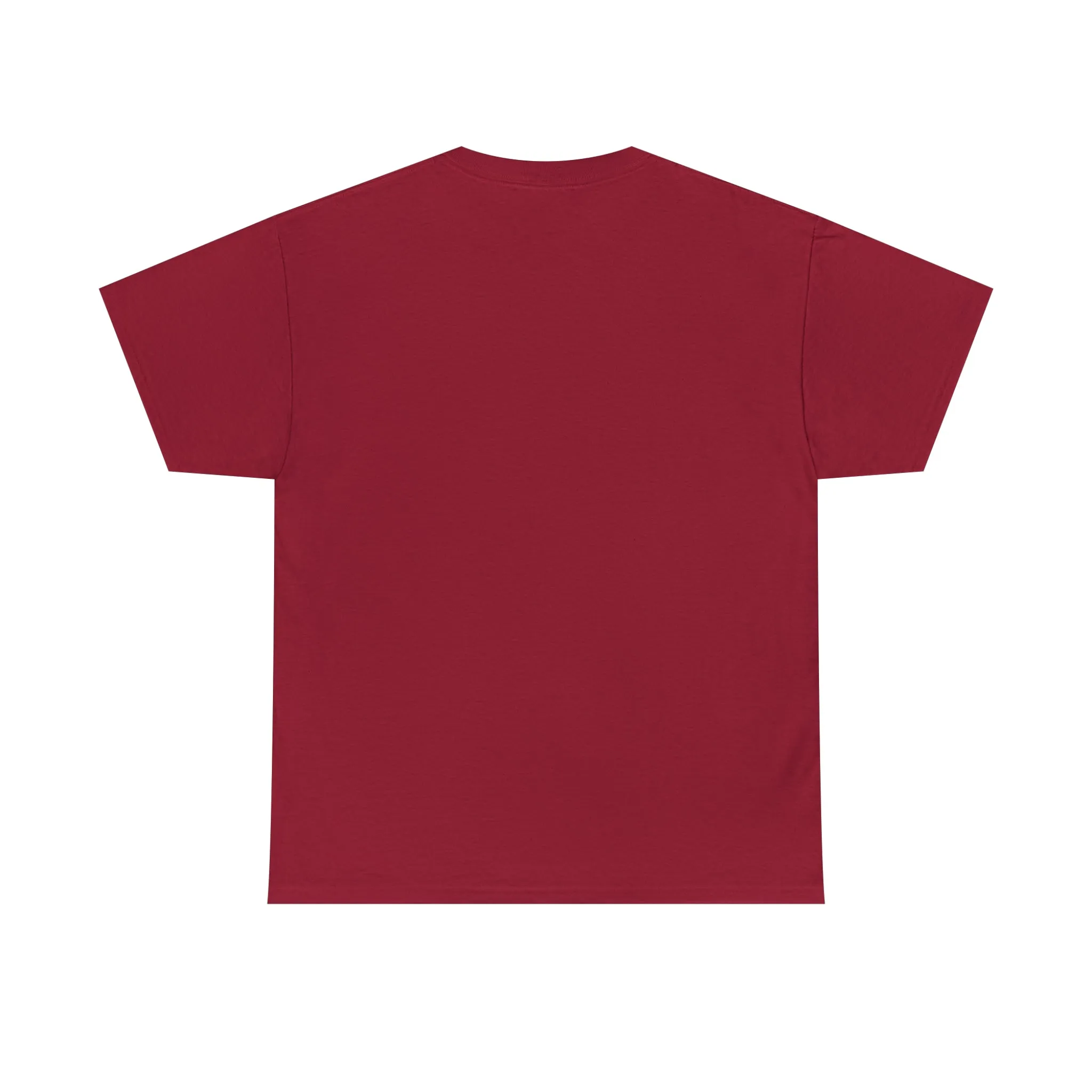 Unashamed Women’s Unisex Heavy Cotton Tee