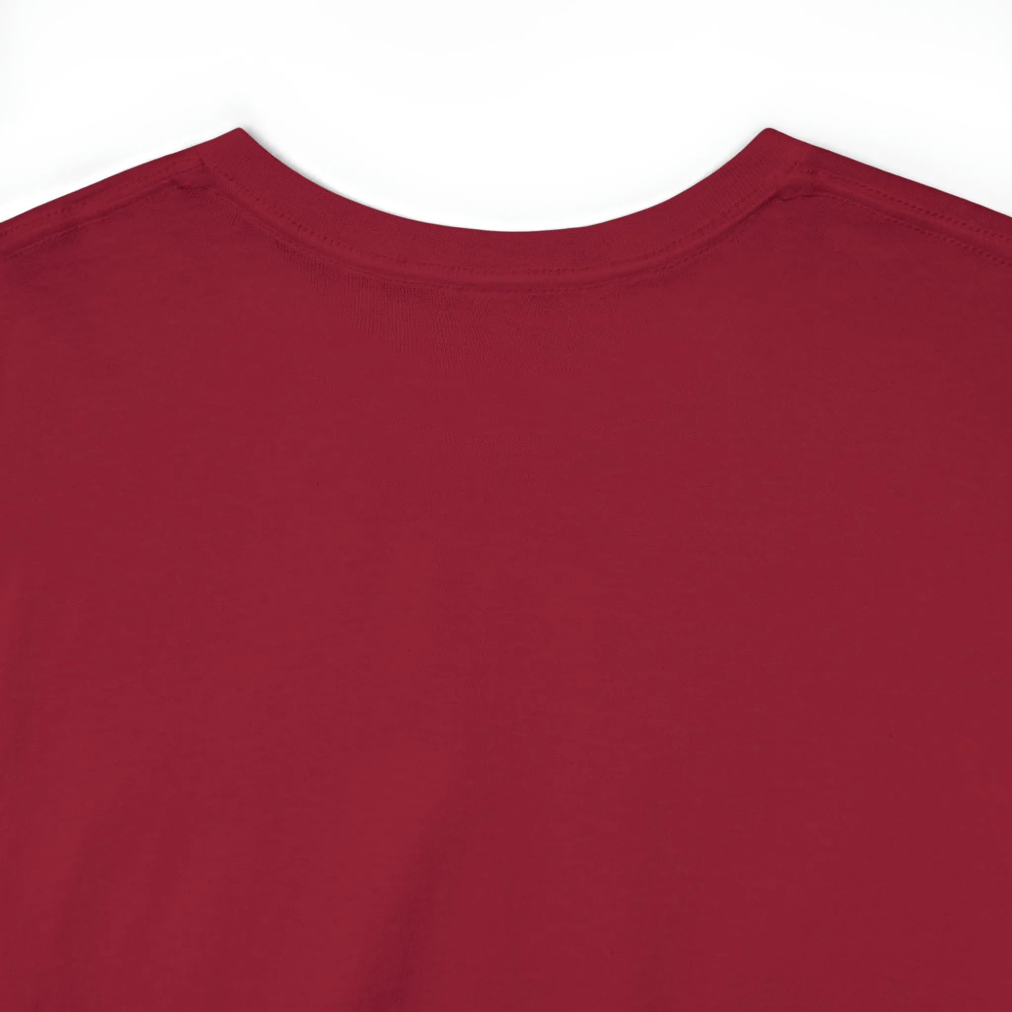 Unashamed Women’s Unisex Heavy Cotton Tee