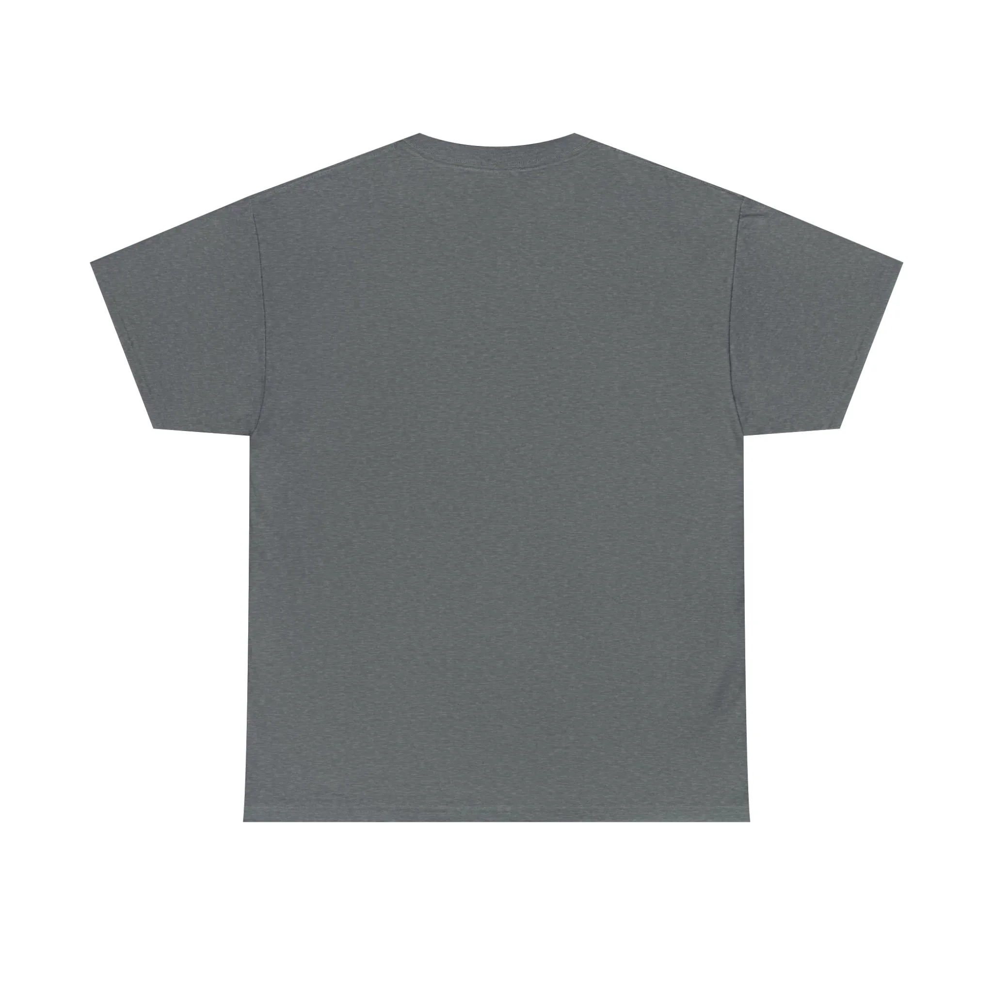 Unashamed Women’s Unisex Heavy Cotton Tee