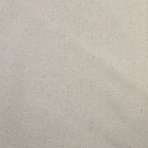 Unbleached Cotton Canvas