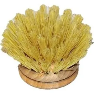Wooden Dish Brush Replacement Head - Vegetable Fibre Bristles