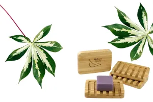 Wooden Soap Tray